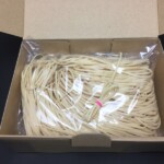 TAN SuperSport 2.4mm幅 x 1/2ポンド箱 | バックヤードストア ゴム動力